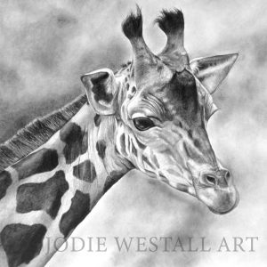 giraffe graphite drawing