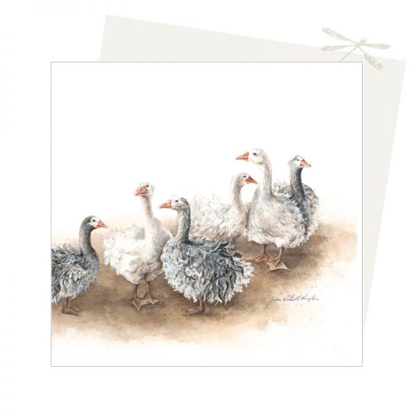 Sebastapol Geese card