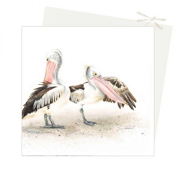 Pelicans Greeting Card
