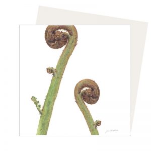 fern greeting card Unfolding