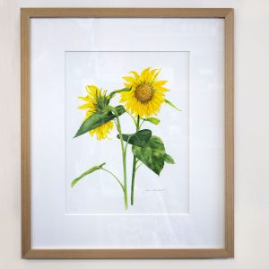 Sunflower Study original Painting
