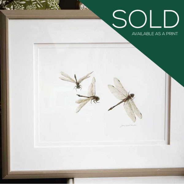 Sold dragonfly painting