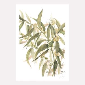 Eucalyptus leaves Native delight Print