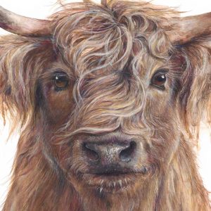 close up of Hamish cow art